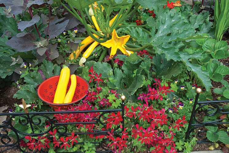 Companion Planting Flowers and Vegetables Mother Earth News